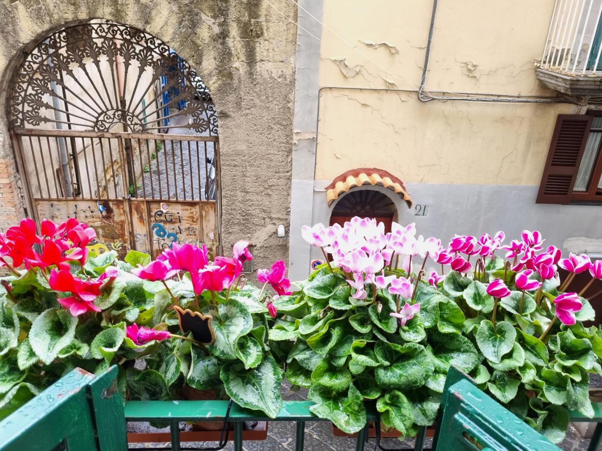 La Casa Di Domi Apartment Napoli Ngoại thất bức ảnh